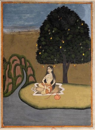 Antica illustrazione di Rāgamālā che medita sotto un albero da frutto